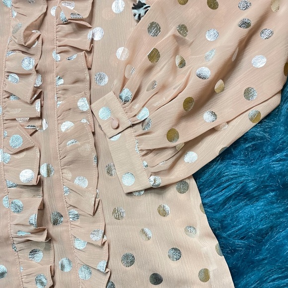 Mauve/Silver Sheer Long Sleeve Polka Dot Neck Tie Blouse - Picture 12 of 15